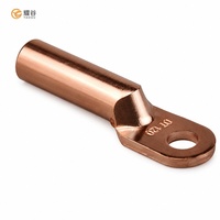 Cosses de câble en cuivre pur série DT 10-500 mm² M6-M20 pour la distribution d'énergie, les appareils de commutation et les connexions de transformateurs