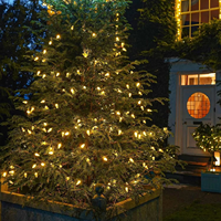 Guirlande lumineuse C9 IP65 étanche de 10 m avec fil vert, blanc chaud éclatant, pour décorations de Noël intérieures/extérieures