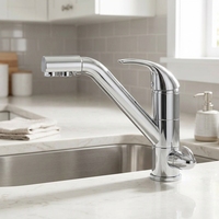Robinet de cuisine à double sortie en laiton plaqué alliage de zinc avec filtre à eau, robinet d'évier de cuisine pour eau froide et chaude
