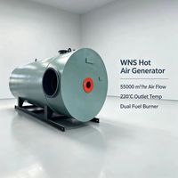 Four horizontal industriel automatique à air chaud, compatible biogaz, mazout lourd, diesel, mazout léger, gaz de combustion, avec surveillance à distance, en acier inoxydable