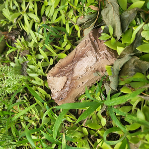 정원 장식 사용자 정의 숨겨진 항목 숨기기 예비 키 락 스톤 가짜 락 키 야외 정원 마당 예비 키에 대한 안전 상자 - Product Image 3