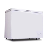 Congélateur horizontal à double porte ouverte 100l Réfrigérateur congélateur Congélateur horizontal Congélateur à plaques horizontal pour la viande