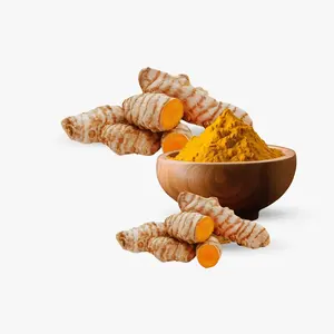 Le curcuma est une épice courante issue de la racine du Curcuma longa. Il contient une substance chimique appelée curcumine et a un goût amer. - Product Image 4