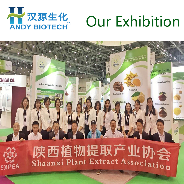 High Purity Natural Dendrobium Orchid Extract/ Dendrobium Candidum Extract Powder/ Dendrobium Officinale Extract