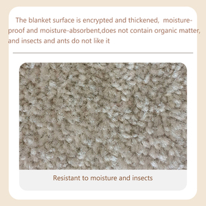 <span class=keywords><strong>Tapis</strong></span> <span class=keywords><strong>de</strong></span> sol moelleux d'hôtel personnalisé <span class=keywords><strong>tapis</strong></span> doux <span class=keywords><strong>tapis</strong></span> à poils longs <span class=keywords><strong>tapis</strong></span> en rouleau imperméable lavable commercial en nylon PP <span class=keywords><strong>tapis</strong></span> mur à mur - Product Image 2