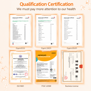 Proveedor Certificado con Certificación ISO 9001, Cápsulas Probióticas para el Crecimiento Temprano del Bebé, Fórmula Multi-Ingredientes, Ofrece Servicio OEM - Product Image 6