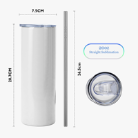 Gobelet isotherme en acier inoxydable à double paroi de 20 oz, blanc vierge pour sublimation, forme skinny droite, avec paille, en gros, entrepôt USA