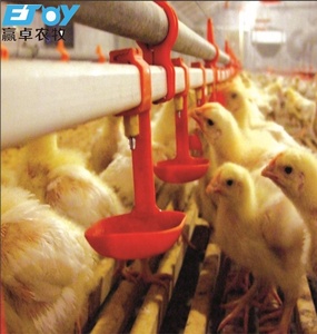 Abreuvoir Automatique Bicolore (<span class=keywords><strong>Jaune</strong></span>/Rouge) en Plastique à Pipette pour Volaille, Équipement d'Élevage au Sol pour Poulets - Product Image 2
