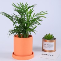 Vente en gros de pots de fleurs cylindriques modernes pour la décoration de la maison et du jardin, pots à succulentes, pots à fleurs mats avec soucoupe