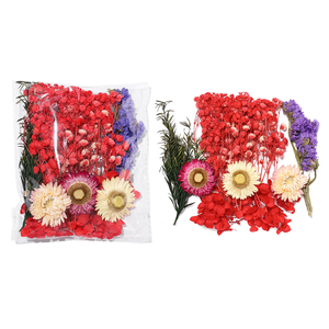 DIY en gros : Mini-mélange de fleurs séchées multicolores, <span class=keywords><strong>eucalyptus</strong></span> naturel en vrac, matériaux séchés - Product Image 6