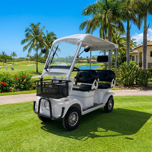 Carrito de Golf de 4 Ruedas y 3 Plazas, de Baja Velocidad, de Largo Alcance, con Cesta Delantera y Toldo para el Sol, para Hoteles y Resorts de Golf - Product Image 1