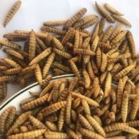 Soldat noir larves de mouches BSFL asticot séché alimentation animale vers comestibles aliments pour animaux de compagnie alimentation de volaille