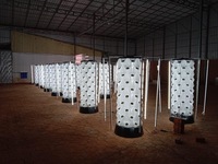 Systèmes de Tour Aéroponique pour Culture Verticale Intérieure et Extérieure, Améliorés, Agriculture Hors-Sol Hydroponique