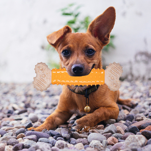 Produttore all'ingrosso Logo personalizzato <span class=keywords><strong>Pet</strong></span> prodotto TPR cane masticare giocattoli per animali domestici - Product Image 3