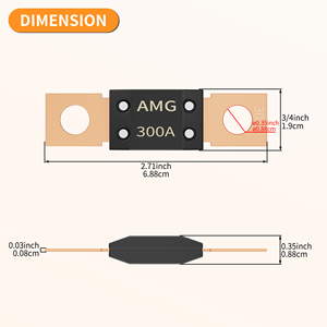 300 Amp Mega/AMG cầu chì 300A Mega cầu chì cao hiện tại bu lông gắn ô tô cho xe ô tô xe tải - Product Image 6