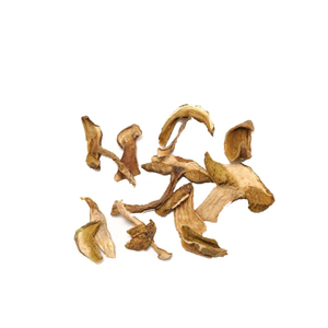 Polvo de Hongo Porcini <span class=keywords><strong>Boletus</strong></span> 80 Mesh - Extracto Fino Seco para Alimentos Saludables y Uso Culinario - Suministro al por Mayor - Product Image 2