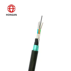 Câble à fibres optiques enterré direct extérieur 12 24 48 noyaux Câble à fibres optiques blindé en acier à double gaine GYTY53