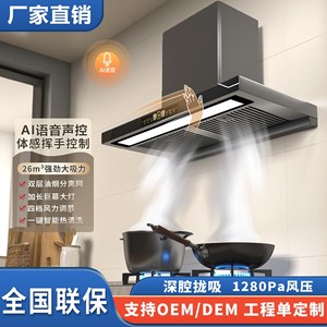 Campana extractora Meijue A Good Wife tipo T de 48 mm con alta succión, inversor, separación de humos y aceites, y alimentación eléctrica. - Product Image 2