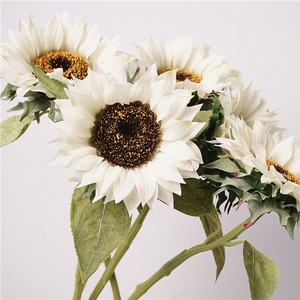 Nouveau Design <span class=keywords><strong>Blanc</strong></span> Real Touch <span class=keywords><strong>Tournesol</strong></span> Fleur Artificielle Tête Unique Latex <span class=keywords><strong>Tournesol</strong></span> pour Photographie Décorations De Mariage - Product Image 1