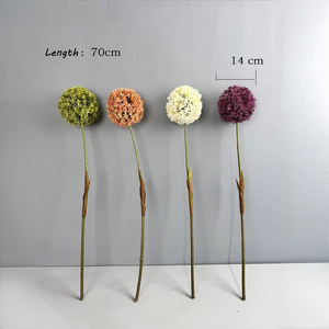 Venta al por mayor hecho a mano 14cm <span class=keywords><strong>Dia</strong></span> Artificial diente de león Allium bola boda flores <span class=keywords><strong>cebolla</strong></span> bola para el Día de San Valentín boda decorativa - Product Image 6
