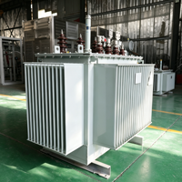 Transformateur de distribution immergé dans l'huile 33 kV S11 à enroulement en aluminium économique 400 V 50 Hz