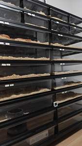 Cage métabolique de <span class=keywords><strong>rat</strong></span> en métal solide avec plateau en plastique pour l'élevage de rats - Product Image 4