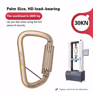 Jensan tùy chỉnh D hình thép Carabiner móc chất lượng cao nhiệm vụ nặng nề 30kn mùa thu bảo vệ - Product Image 4
