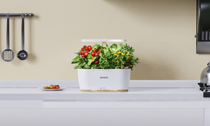 Smart Indoor Tuin Bloempot Led Groei Licht Moderne Pod Bodemgroei Systeem Digitale Sensor Voor Thuisgebruik Plant Kiemkit - Product Image 4