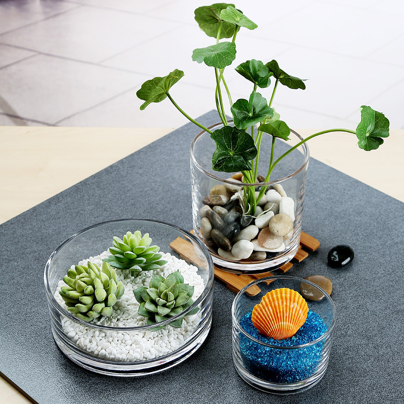 Factory Produced Wholesale Glass Flower Vase for Home Decor