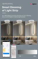 Zigbee Tuya pengontrol lampu Strip LED, mendukung peredupan dingin dan hangat, kontrol Audio Alexa eksternal, Drive pintar