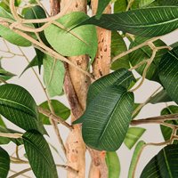 Arbre artificiel Ficus à double tronc de 120 cm, plante à feuilles en soie sur pied, tige torsadée, décoration intérieure pour salon et bureau