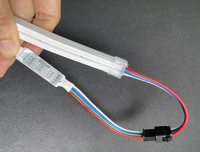Panneau d'affichage Adv Décoration Programmation Couleur Magic IC Découpable 6MM 8MM DC12V Silicone RGB Neon Lights Led