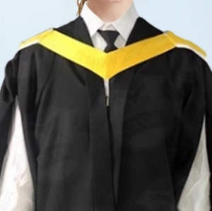 Trường Đại học của New South Wales Úc bán buôn tốt nghiệp ăn mặc Bộ cử nhân và Tiến sĩ quần áo - Product Image 3