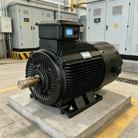 Éolienne verticale hydro-synchronisée Enning avec protection IP68, 10 kW, générateur silencieux à aimant permanent et bobinage d'alternateur