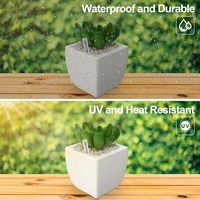 Étiquettes de plantes Étiquettes de plantes en plastique Étiquette de jardin de pépinière Marqueur de pot Étiquette de piquet de jardin Fleurs Verdure Étiquette de plante en plastique étanche