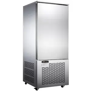 High Quality Commercial 5 Pans/10Pans/15 Pans Shock Blast Freezer for Sale/Blast Freezer Price