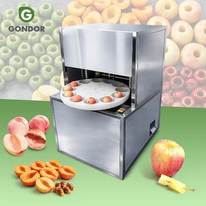 เครื่องแยกเมล็ดอะโวคาโดอินดัสเตรียลขนาดเล็ก ราคาถูกที่สุด เครื่องแยกเมล็ดมะกอกสำหรับขาย - Product Image 1