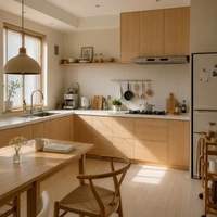 Ensemble complet d'armoires de cuisine modulaires modernes en bois massif RTA avec rangement de garde-manger écologique, étanche et plat