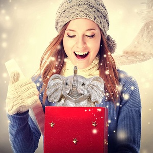 Liên Hệ Nhà Cung Cấp Bán Buôn Chất Lượng Cao Trang Trí Nội Thất Tượng Con Voi Bạc - Product Image 2