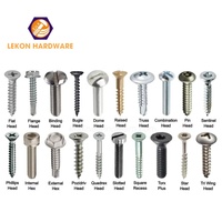 Vis à Bois Personnalisées en Acier Inoxydable, Autoperceuses pour Plaques de Plâtre et Aggloméré, Tête Torx, Hexagonale, Plate ou Fraisée