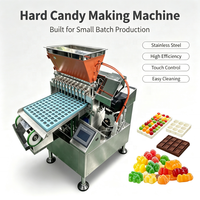 Machine automatique de fabrication de bonbons durs aux vitamines et aux herbes, avec moule remplaçable en acier inoxydable 304