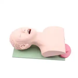 KyrenMed電子成人TracheaIntubationモデルTrachealIntubation Manikin Training Simulator Airway Management Trainer