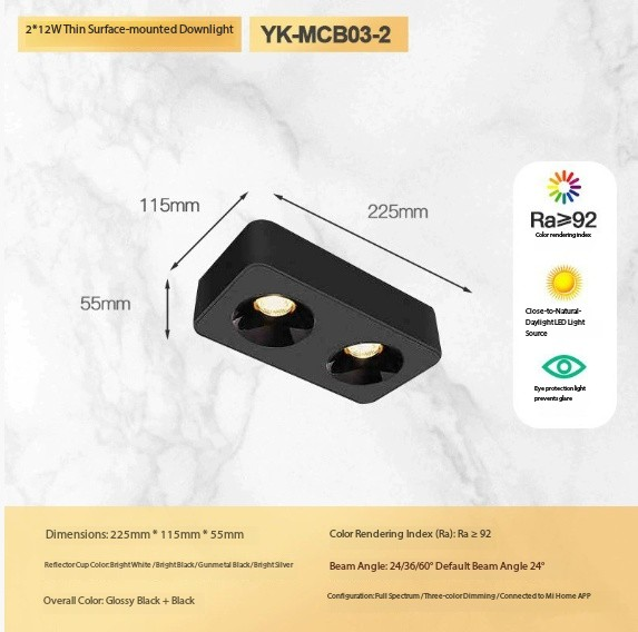 Double head 24W (all black version)