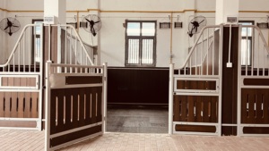 Op Maat Gemaakte Europese Stijl Paardenopvang Hoogwaardige Draagbare Schuur Voor Buiten Manege - Product Image 5