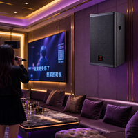Haut-parleur professionnel large bande de 10 pouces Full Sst pour bars, système audio et sonore professionnel passif pour salles de divertissement et discothèques.