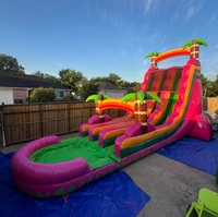 Nieuw Ontwerp Dubbele Glijbaan Opblaasbaar Waterkasteel Outdoor Draak Fruit Gekleurde Palmboom Met Zwembad Te Koop