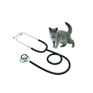 Stéthoscope portable <span class=keywords><strong>Contec</strong></span> SC11 en acier inoxydable, prix bas - Product Image 2
