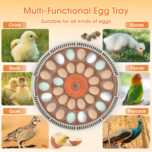 Incubateur <span class=keywords><strong>de</strong></span> machine d'élevage d'oeufs <span class=keywords><strong>de</strong></span> <span class=keywords><strong>perroquet</strong></span> <span class=keywords><strong>de</strong></span> poulet <span class=keywords><strong>de</strong></span> WONEGG CE marqué 30 à <span class=keywords><strong>vendre</strong></span> - Product Image 3