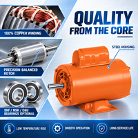 Motor Listrik Satu Fasa BIOTE untuk Peralatan Bengkel Garasi 115V 230V 60Hz 2P 4P Torsi Tinggi Kapasitor Start NEMA 56 Frame