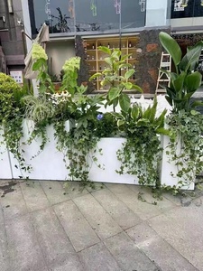 Boîte à fleurs moderne personnalisée entrée aménagement paysager plantation métal jardin extérieur clôture en alliage d'aluminium cloison en acier inoxydable maison - Product Image 5